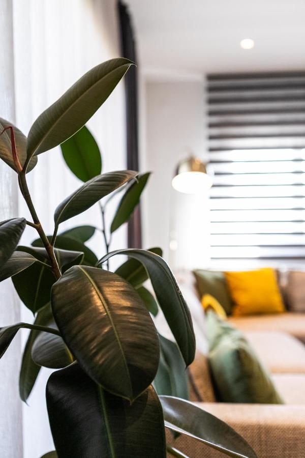 Aegli Central Luxury Apartment Alexandroupoli Esterno foto